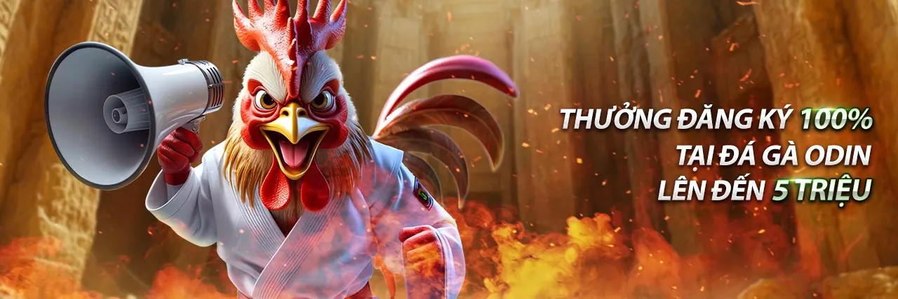 Hình ảnh chính blog Xbet Nhà Cái, tổng quan về cá cược thể thao và casino trực tuyến